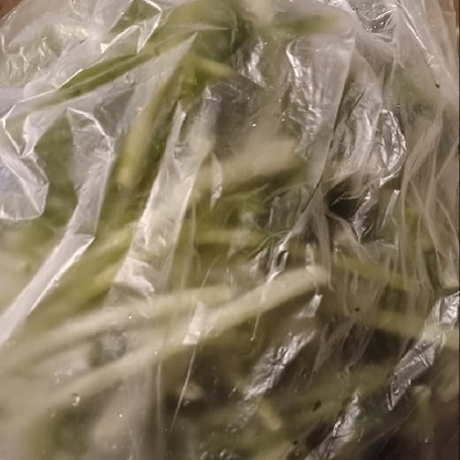 家庭菜園の豊作の水菜です。食べきれないので冷凍保存を教えて下さって助かりました。有り難うございます！